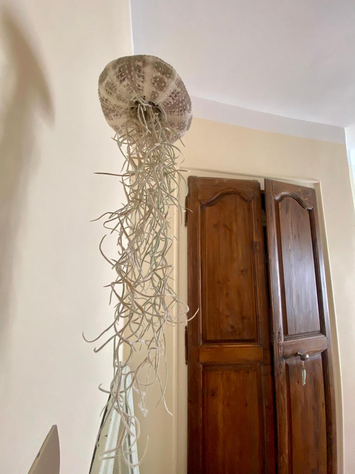 Casa Paloma Apartment Sanary-sur-Mer Ngoại thất bức ảnh